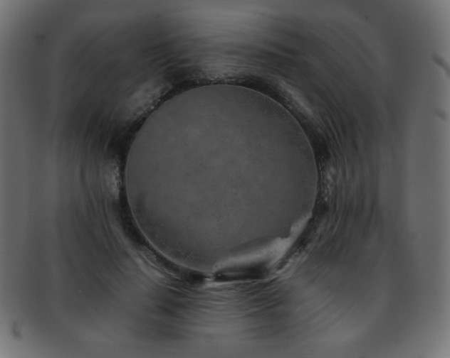 X0000092270644200709141202