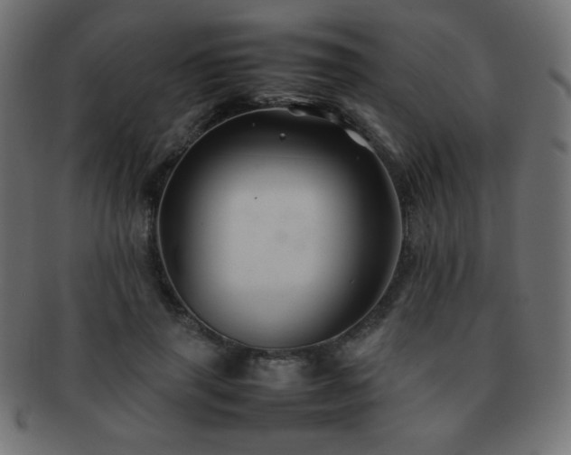 X0000092270645200709141202
