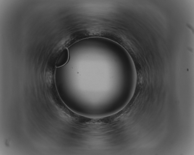 X0000092270648200709141202