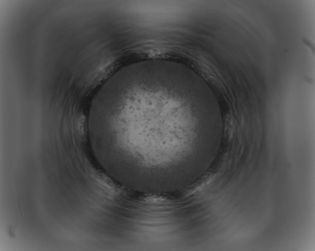 X0000092270650200709141202