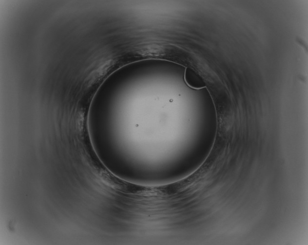 X0000092270652200709141202