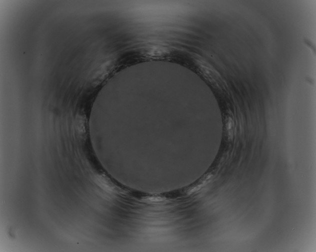 X0000092270654200709141202