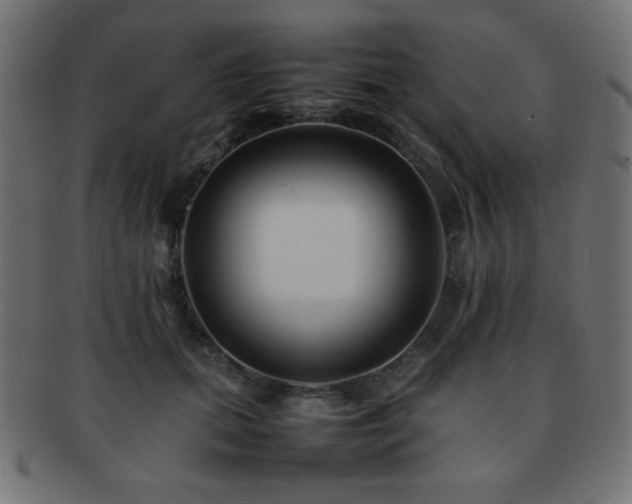 X0000092270655200709141202