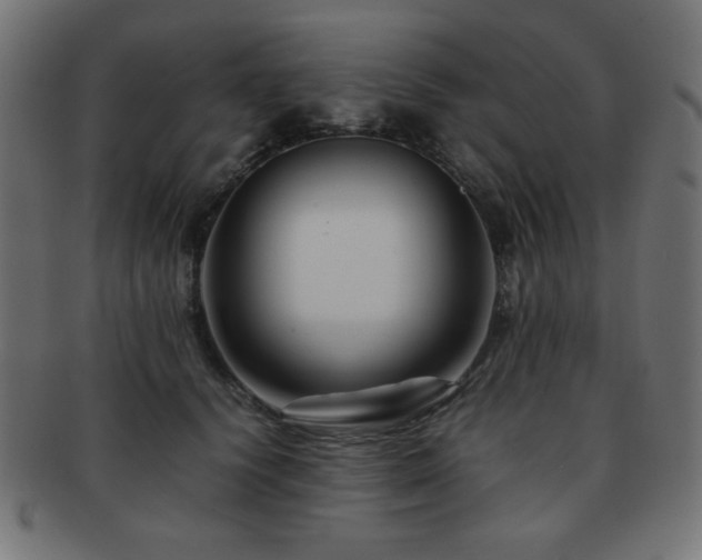 X0000092270656200709141202