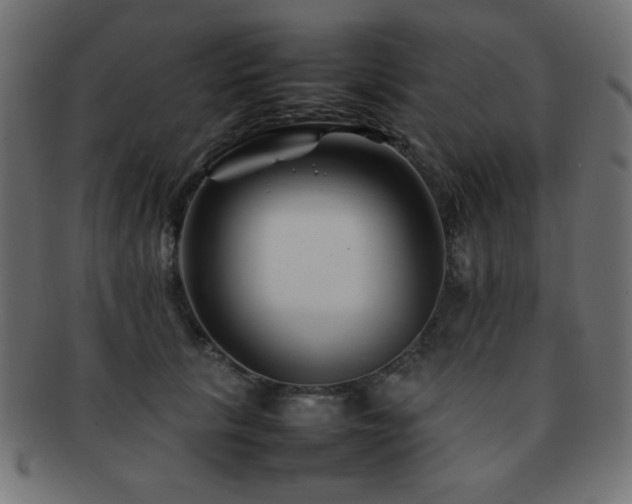 X0000092270657200709141202