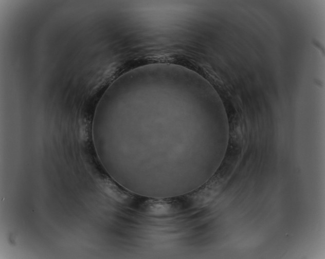 X0000092270658200709141202