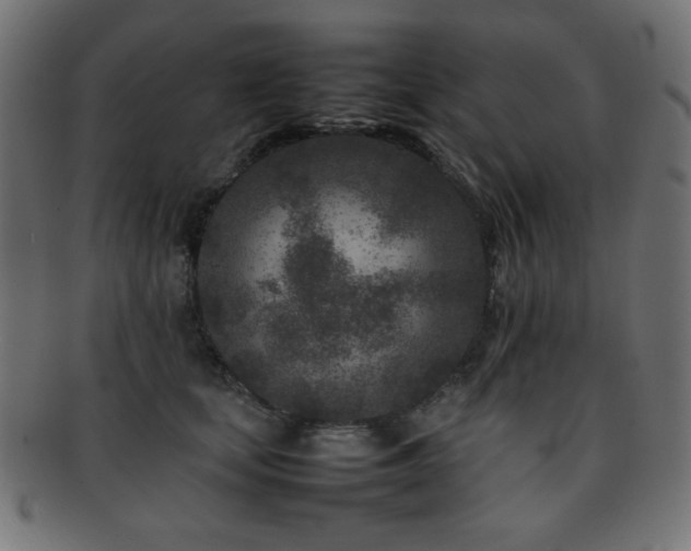 X0000092270659200709141202