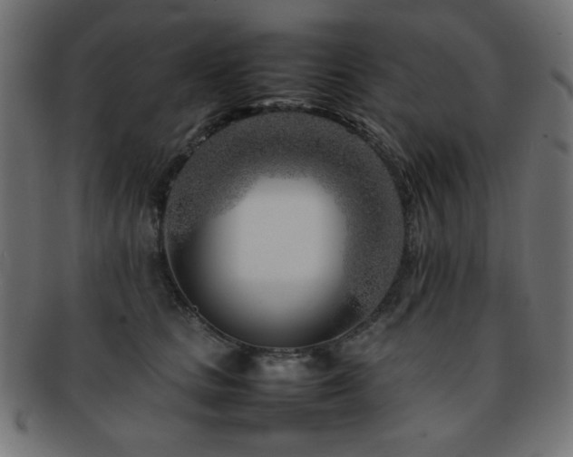 X0000092270661200709141202