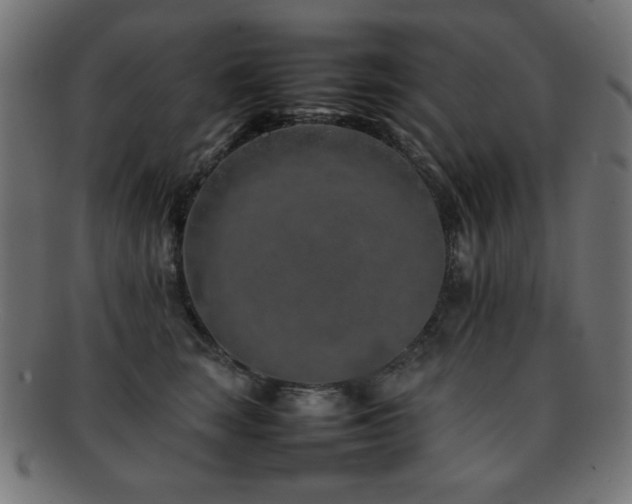X0000092270663200709141202