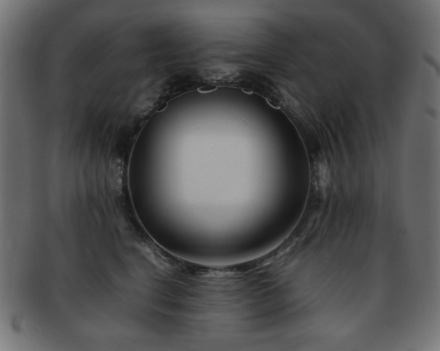 X0000092270664200709141202