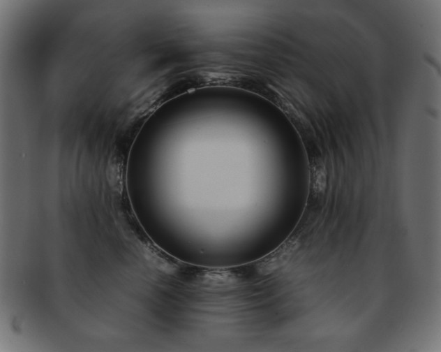 X0000092270666200709141202