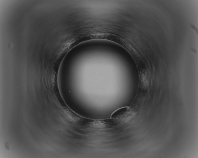 X0000092270668200709141202