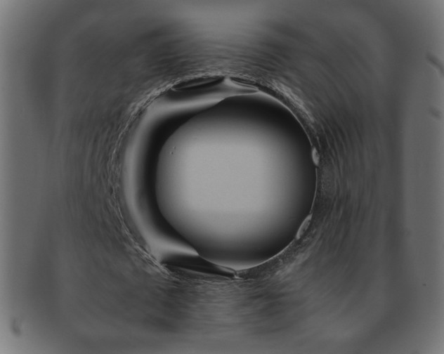 X0000092270673200709141202