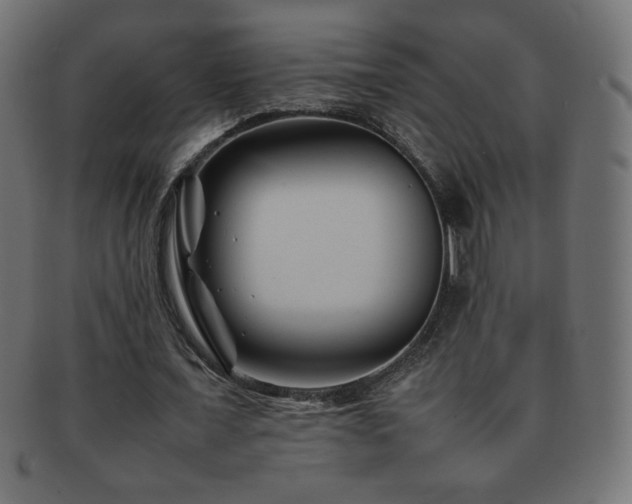 X0000092270675200709141202