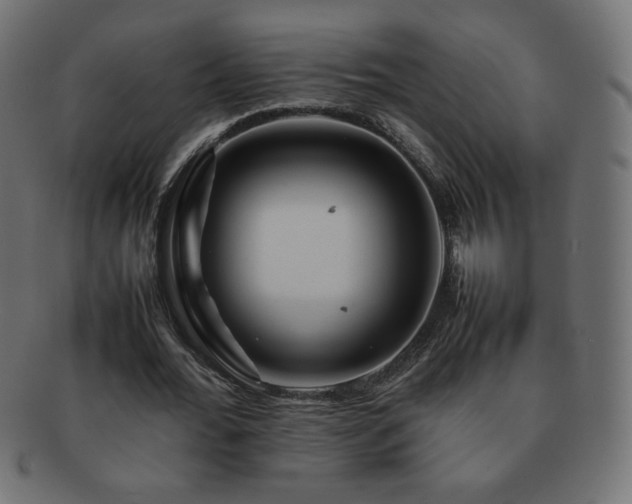 X0000092270676200709141202