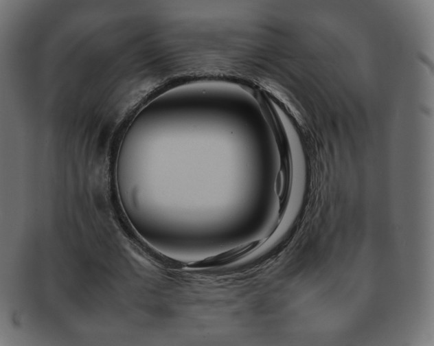 X0000092270677200709141202
