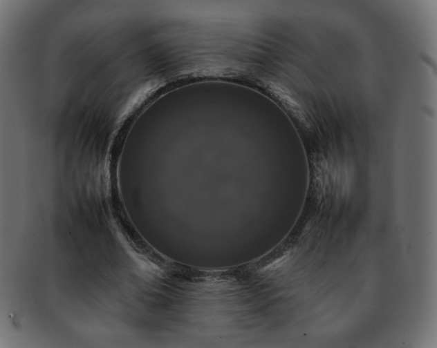 X0000092270678200709141202