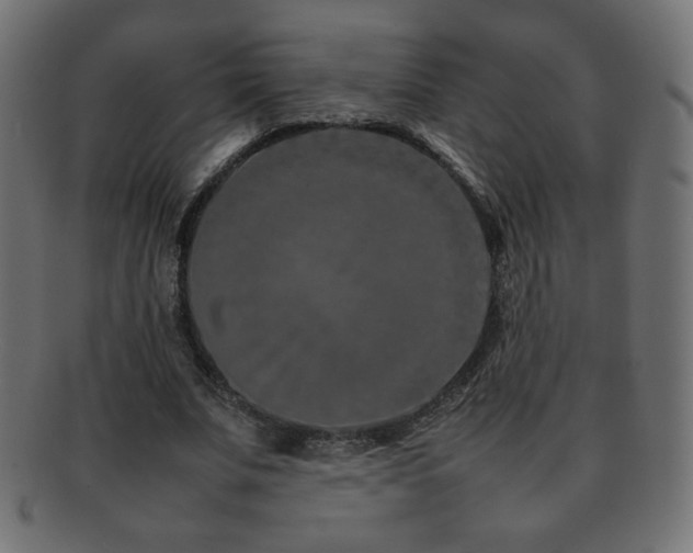 X0000092270679200709141201
