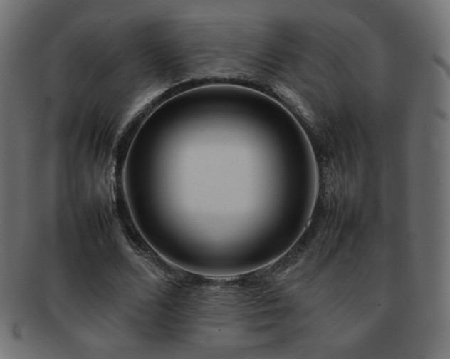X0000092270680200709141201
