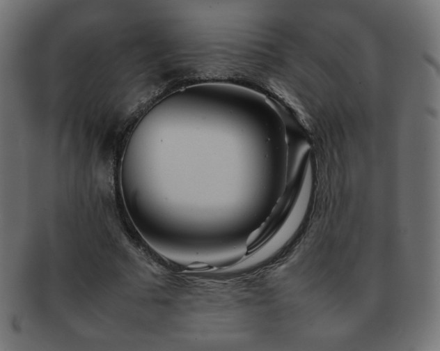 X0000092270681200709141201