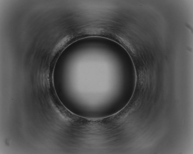 X0000092270682200709141201