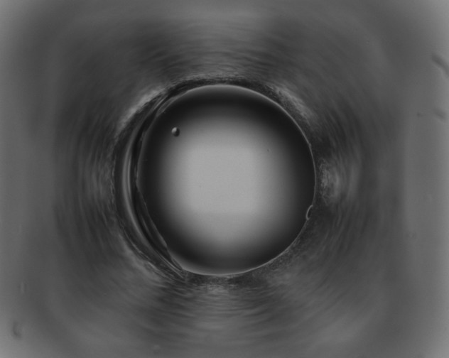 X0000092270684200709141201