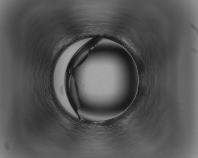 X0000092270685200709141201