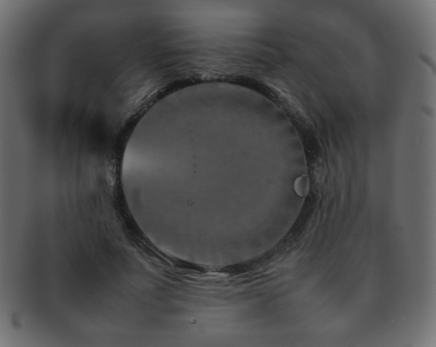 X0000092270691200709141201