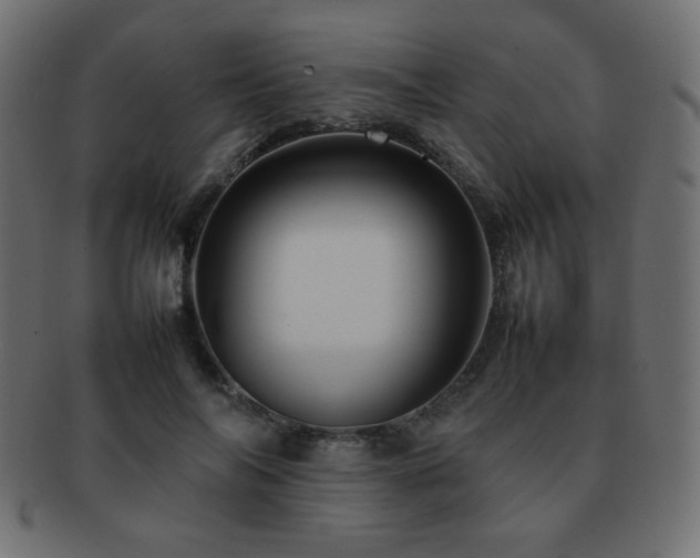 X0000092270694200709141201