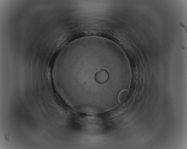 X0000092270699200709141201