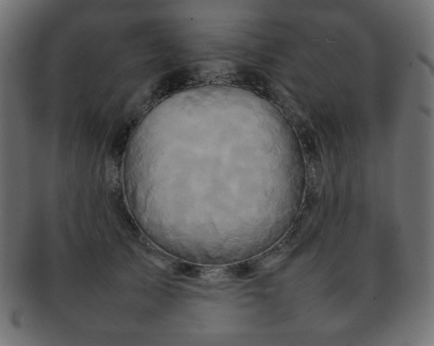 X0000092270705200709141201