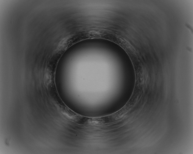 X0000092270706200709141201