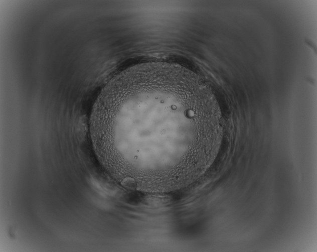 X0000092270707200709141201