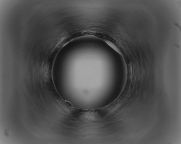 X0000092270708200709141201