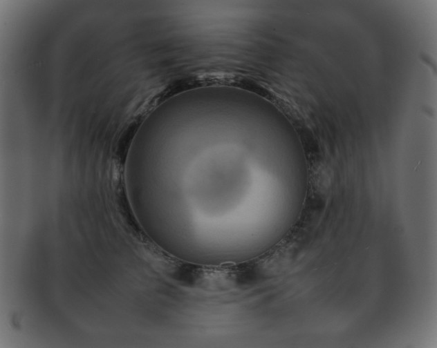 X0000092270709200709141201