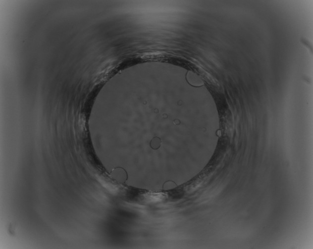 X0000092270711200709141201