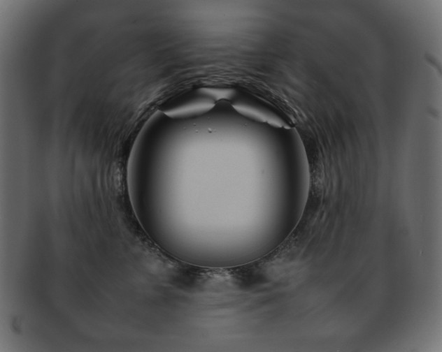 X0000092270715200709141201