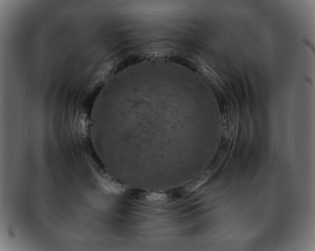 X0000092270718200709141201