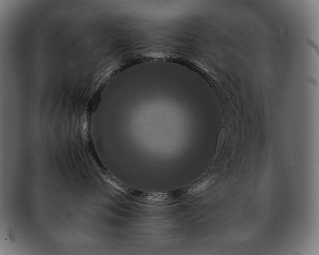 X0000092270720200709141201