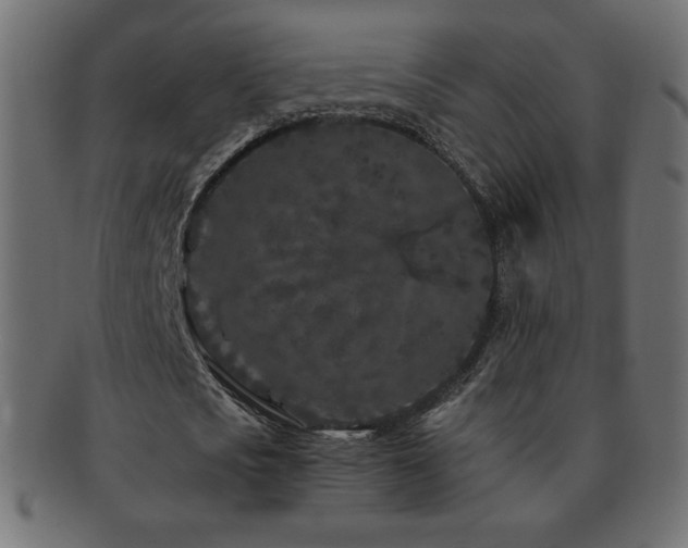X0000092270721200709141200