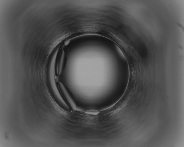 X0000092270725200709141200