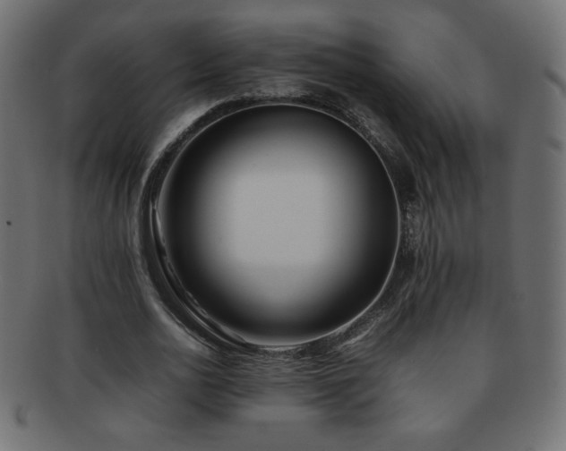 X0000092270726200709141201
