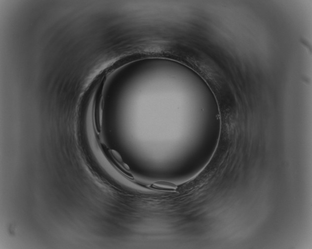 X0000092270728200709141201