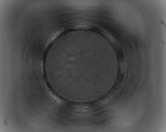 X0000092270729200709141201
