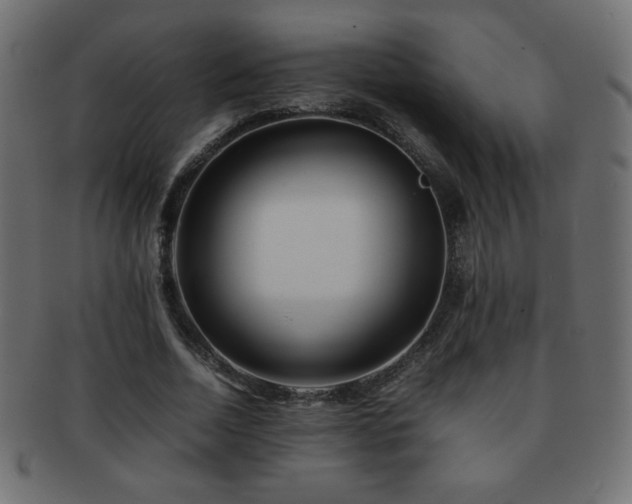 X0000092270730200709141201