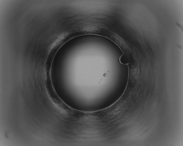 X0000092270734200709141201