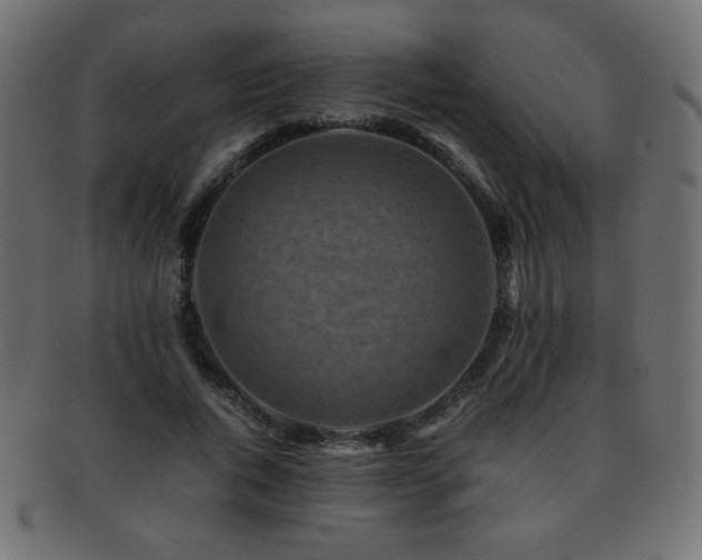 X0000092270736200709141201