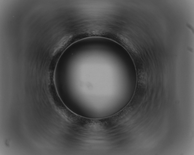 X0000092270738200709141201