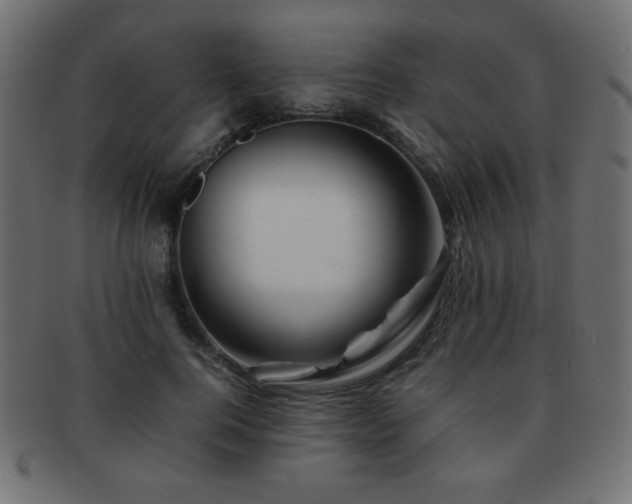 X0000092270744200709141201