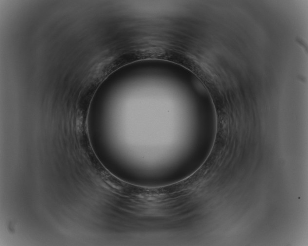 X0000092270745200709141201